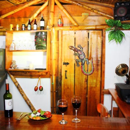 Ecolodge Puente Explanacion Salento Ngoại thất bức ảnh