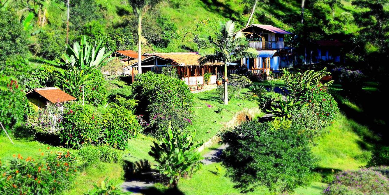 Ecolodge Puente Explanacion Salento Ngoại thất bức ảnh