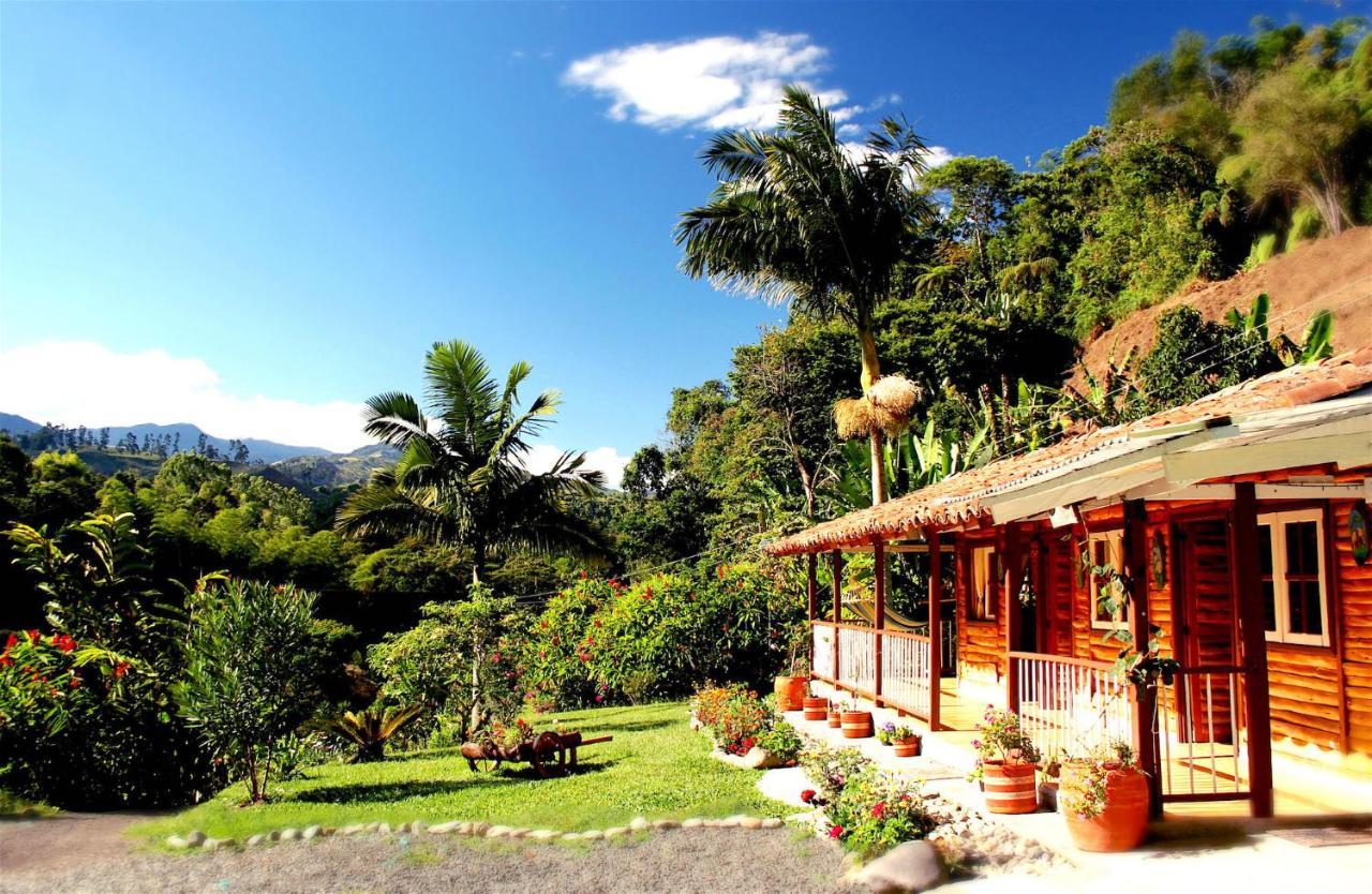 Ecolodge Puente Explanacion Salento Ngoại thất bức ảnh