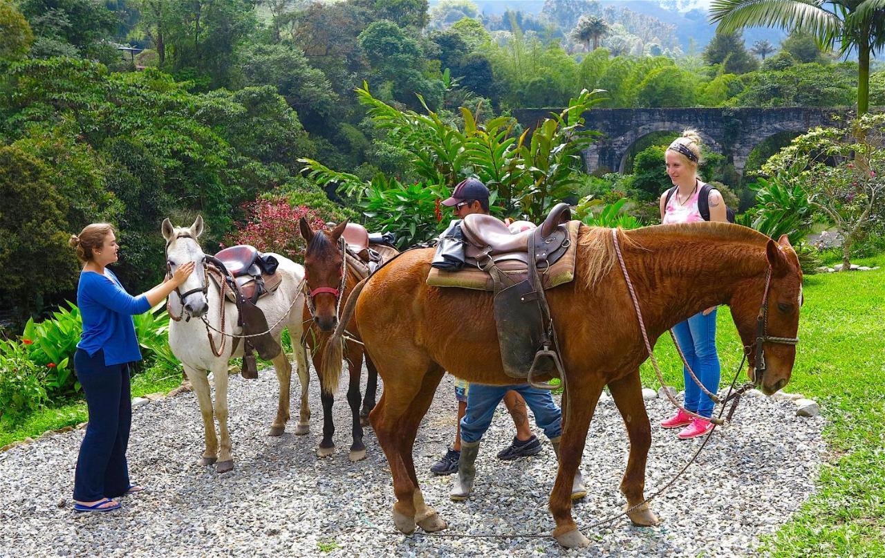 Ecolodge Puente Explanacion Salento Ngoại thất bức ảnh