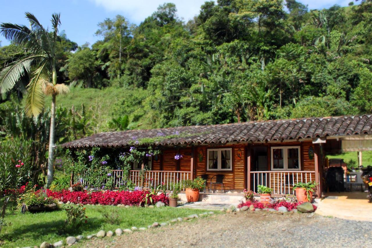 Ecolodge Puente Explanacion Salento Ngoại thất bức ảnh