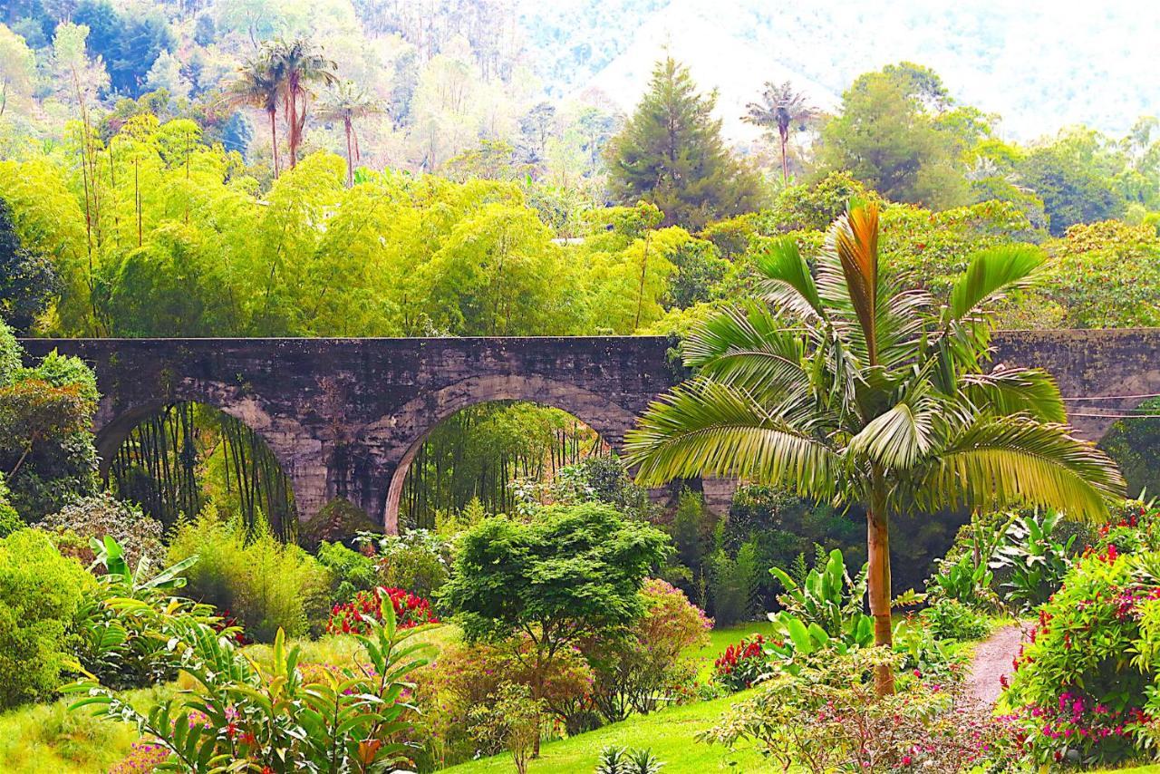 Ecolodge Puente Explanacion Salento Ngoại thất bức ảnh