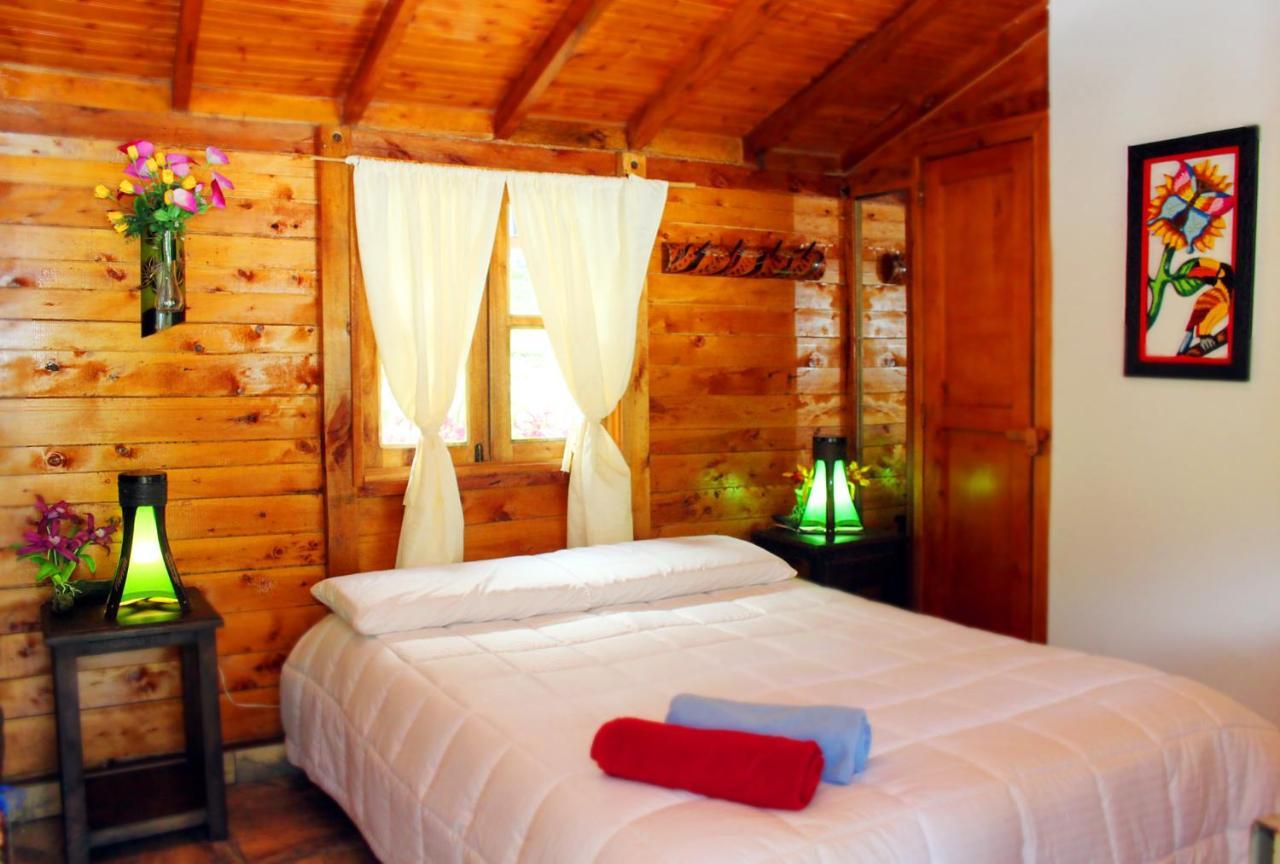 Ecolodge Puente Explanacion Salento Ngoại thất bức ảnh