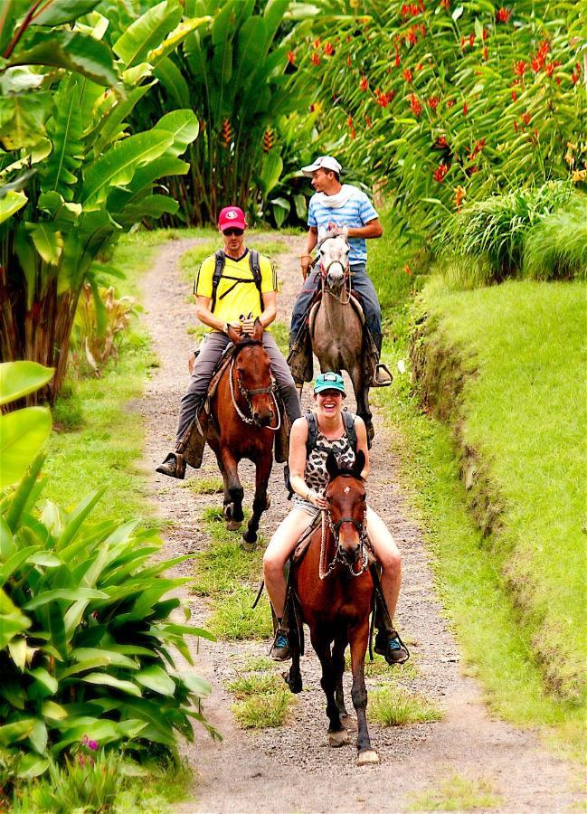 Ecolodge Puente Explanacion Salento Ngoại thất bức ảnh