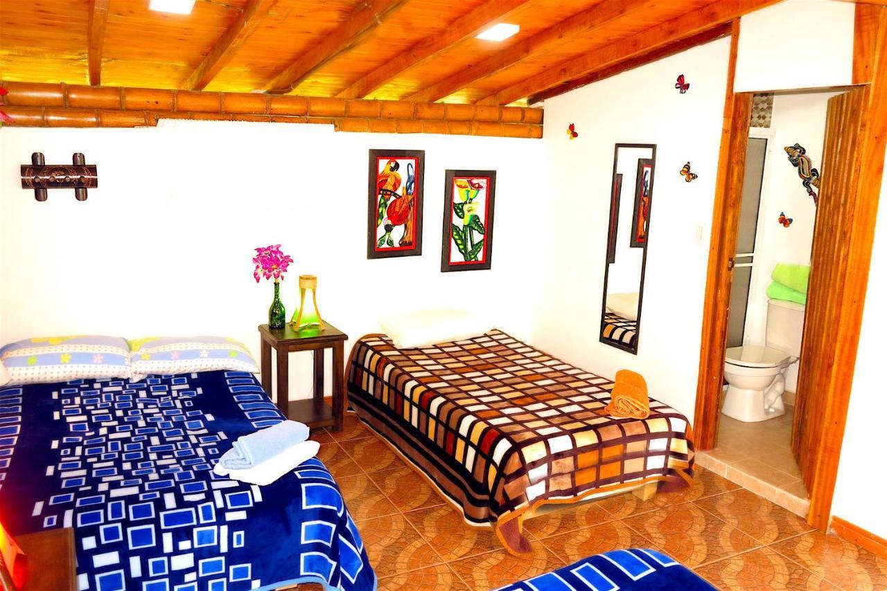 Ecolodge Puente Explanacion Salento Ngoại thất bức ảnh