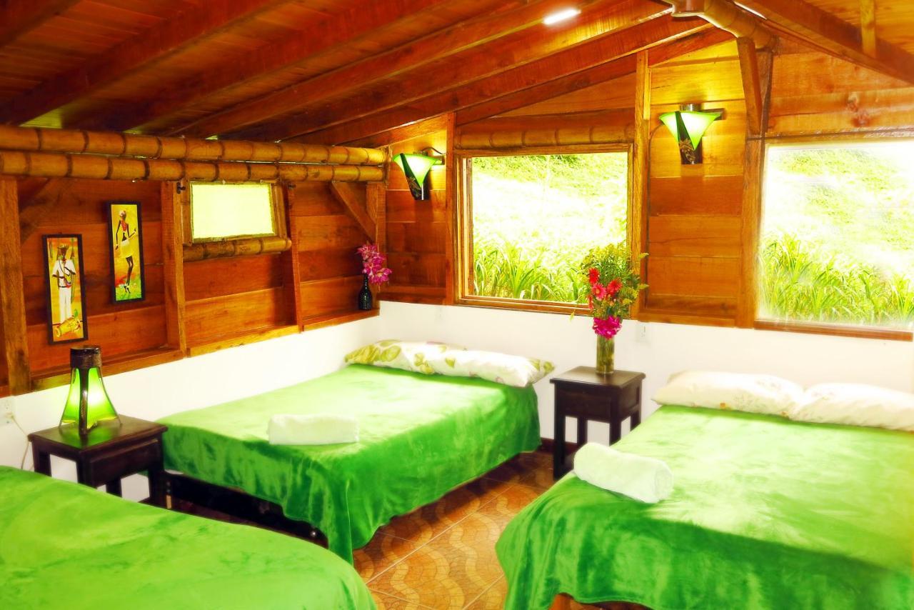 Ecolodge Puente Explanacion Salento Ngoại thất bức ảnh