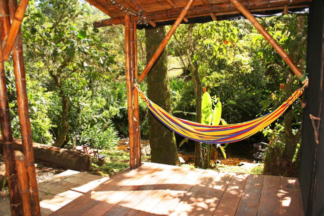 Ecolodge Puente Explanacion Salento Ngoại thất bức ảnh