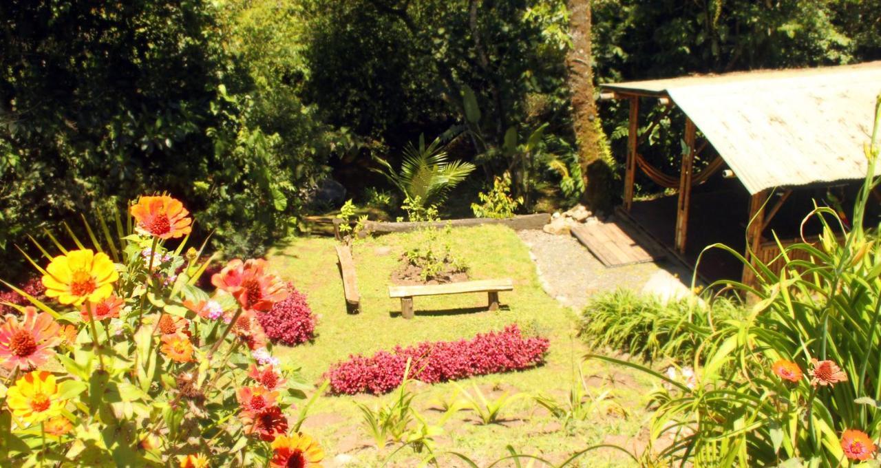 Ecolodge Puente Explanacion Salento Ngoại thất bức ảnh